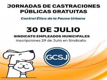 Imagen Uno