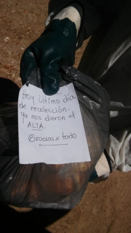 Imagen Dos