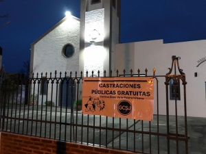 CASTRACIONES GRATUITAS