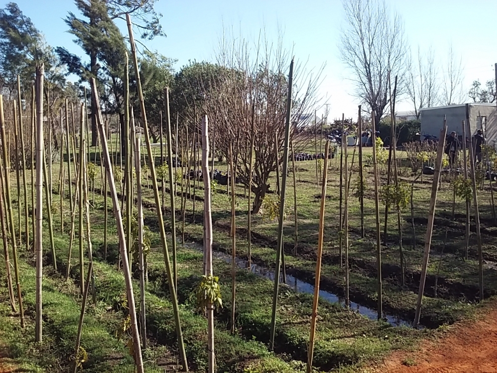 EL INTENDENTE VISITO EL RENOVADO VIVERO MUNICIPAL.