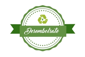 SE OFICIALIZO EL PROGRAMA DESEMBOLSATE
