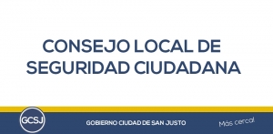 DEL CONSEJO LOCAL DE SEGURIDAD CIUDADANA.