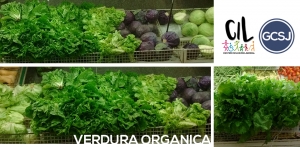 YA PODES ADQUIRIR PRODUCTOS ORGANICOS DEL C.I.L. EN  COMERCIOS LOCALES