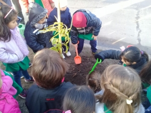 PLANTAR UN ARBOL ES PLANTAR CONCIENCIA…